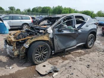  Salvage Lexus NX
