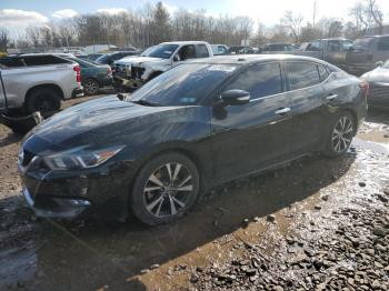  Salvage Nissan Maxima