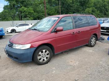  Salvage Honda Odyssey