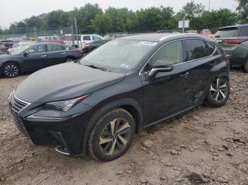  Salvage Lexus NX