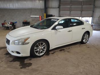  Salvage Nissan Maxima
