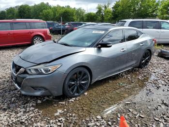  Salvage Nissan Maxima