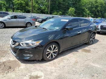  Salvage Nissan Maxima