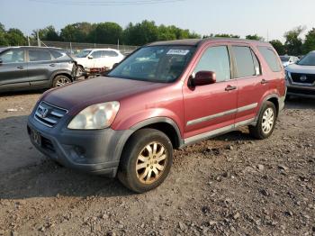  Salvage Honda Crv