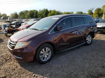  Salvage Honda Odyssey