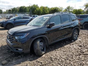  Salvage Honda Passport