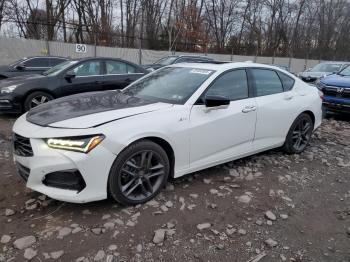  Salvage Acura TLX
