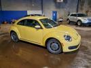 Volkswagen Beetle Image 4