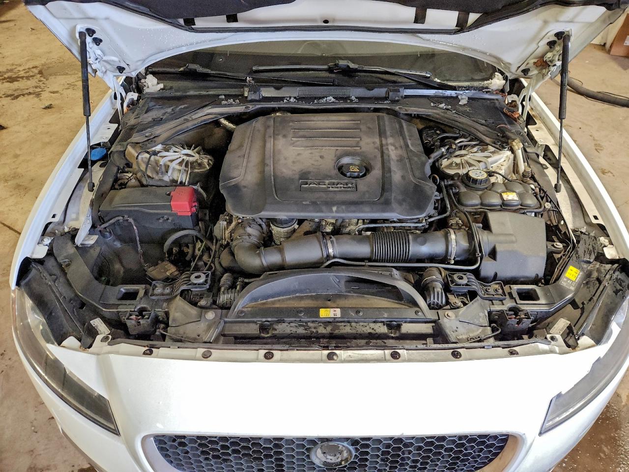 Jaguar XF Premium Image 10