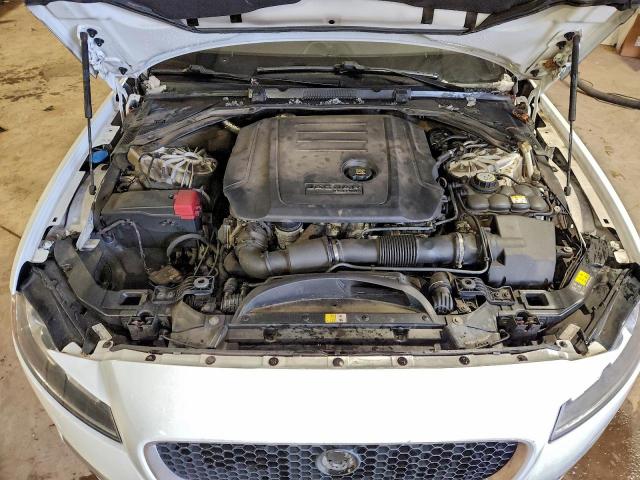 Jaguar XF Premium Image 10