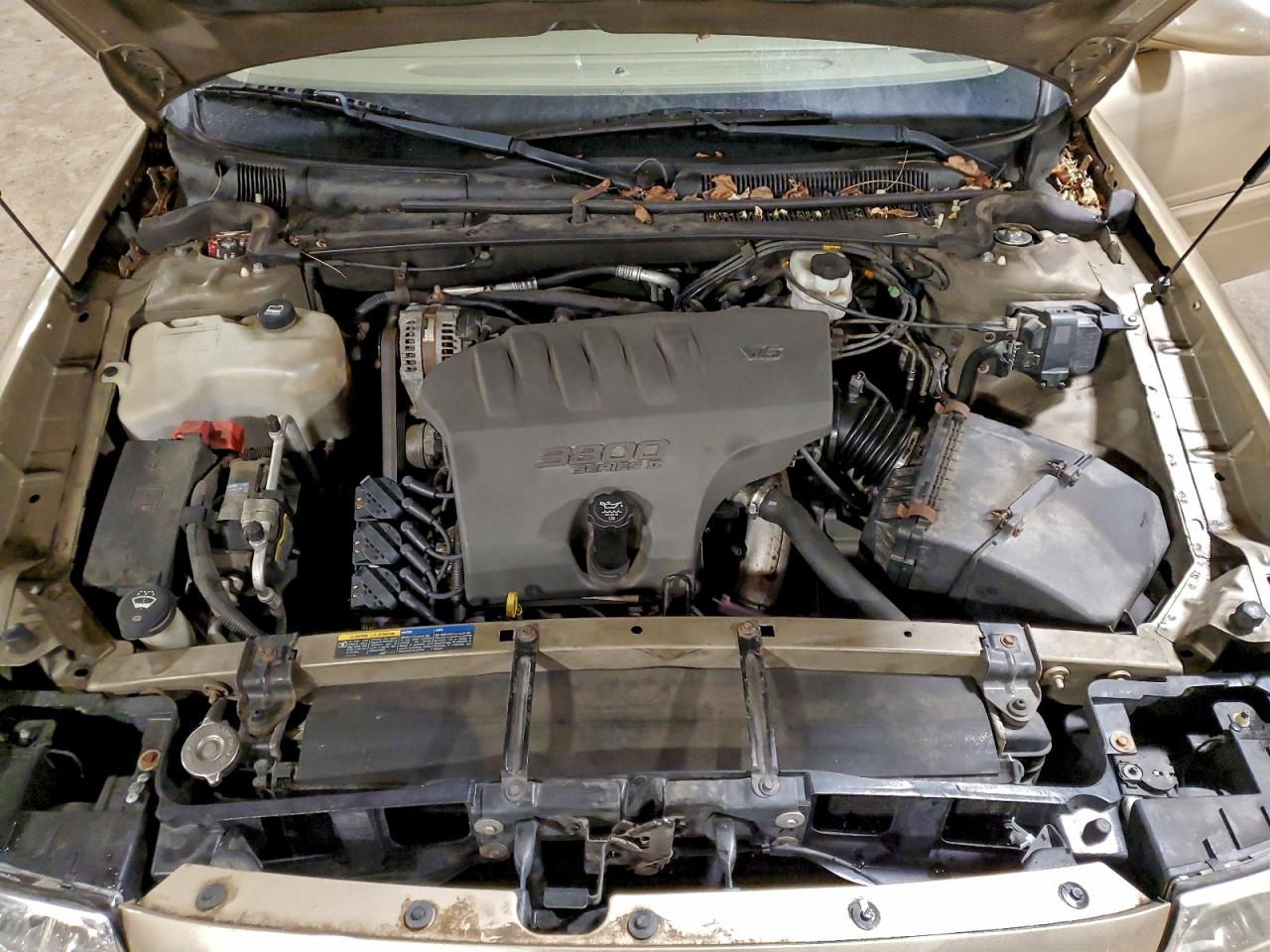 Buick LeSabre Custom Image 8