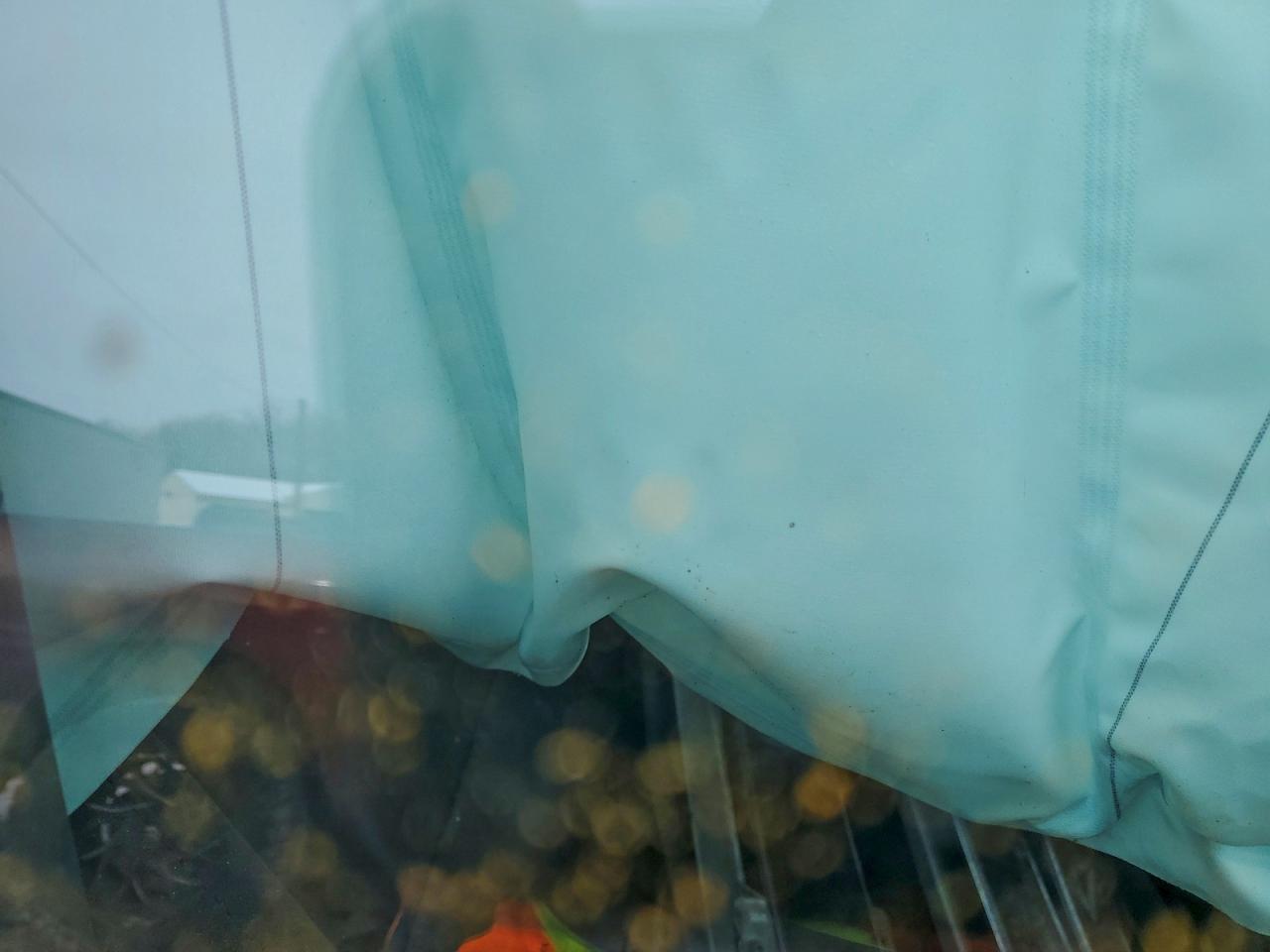 Chevrolet Silverado C1500 Image 5