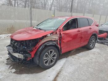  Salvage Honda Crv