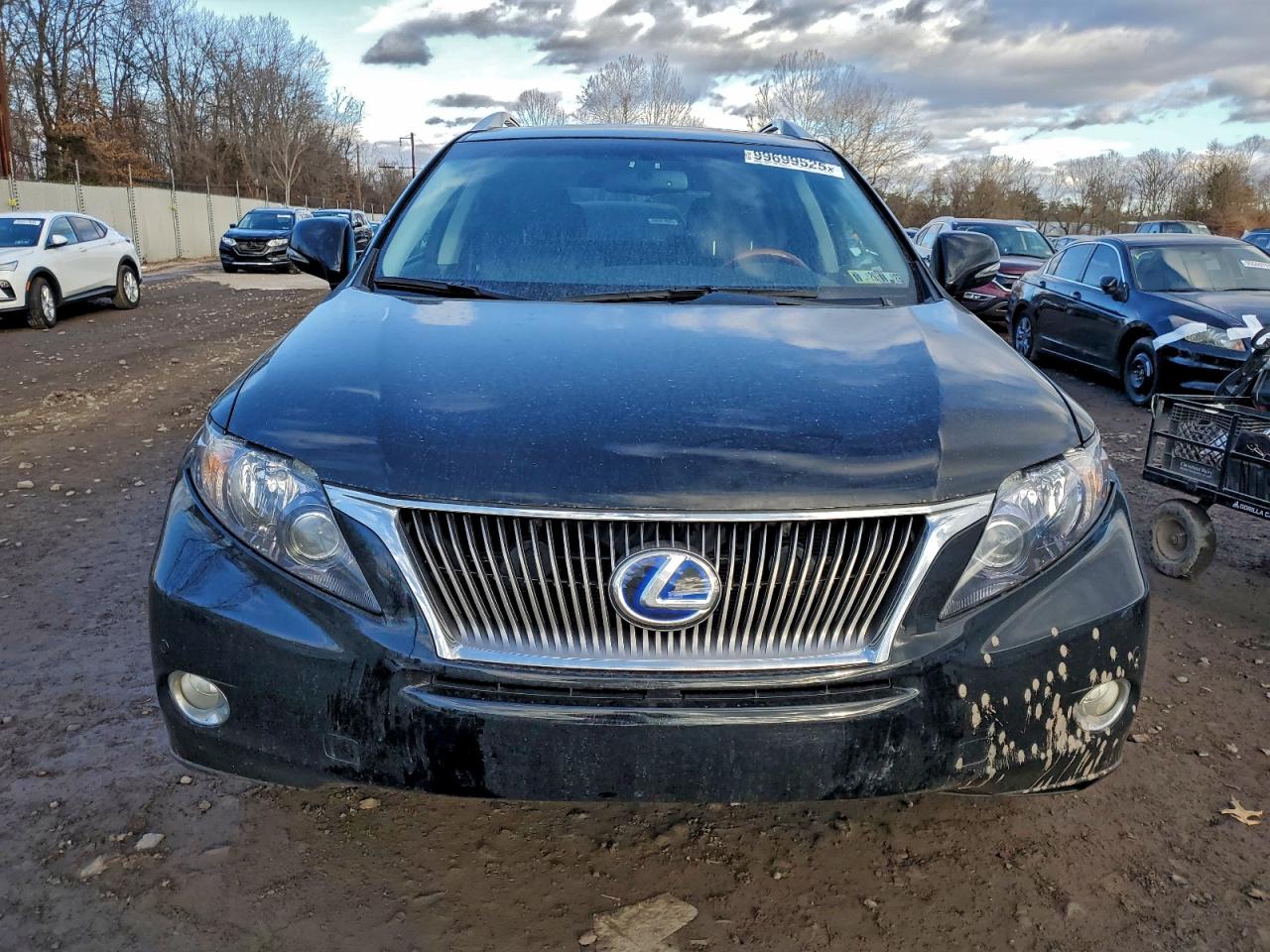 Lexus RX 450h Image 6