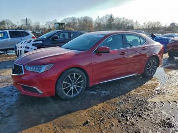  Salvage Acura TLX